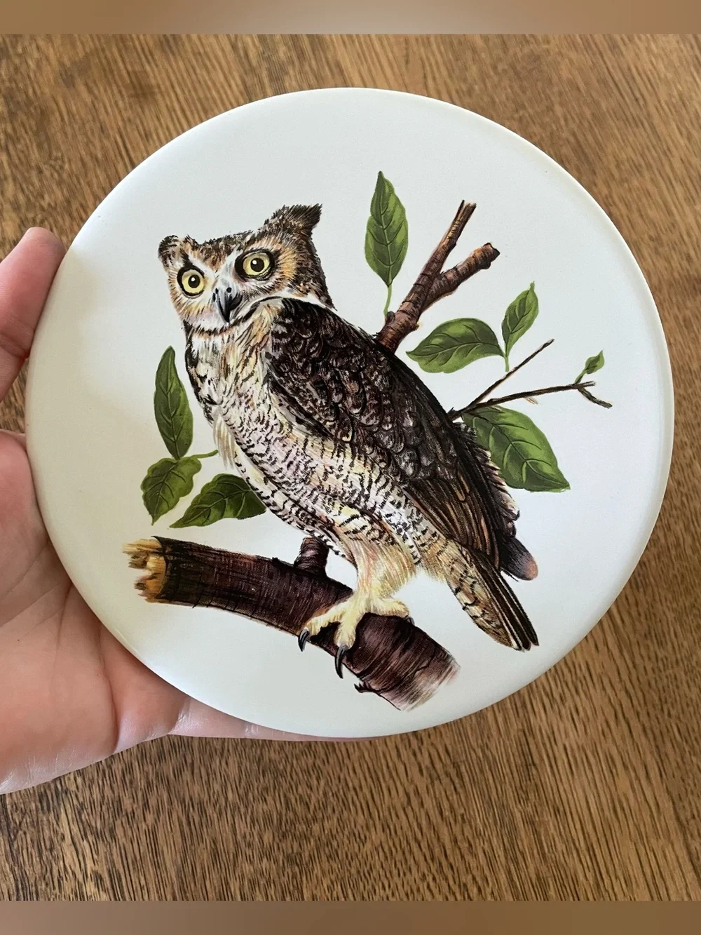 Vintage Mid State Owl Trivet